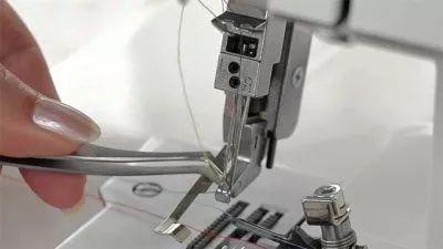 Bernina L460 Bernina L460